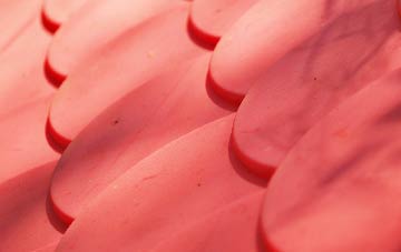 Knightley Dale plastic roof costs